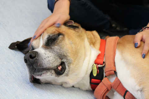 Gary