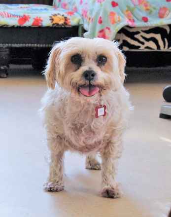 Max