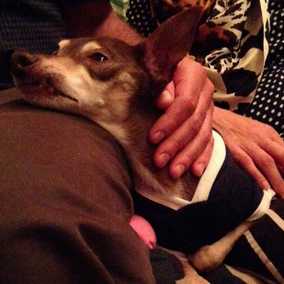Buster