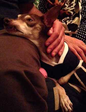 Buster