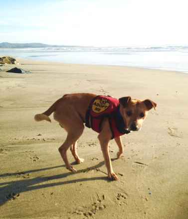 Gunther