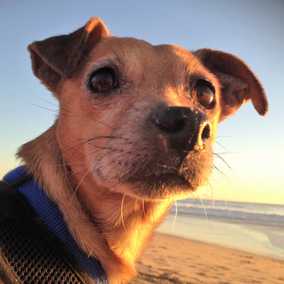 Gunther