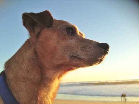 Gunther