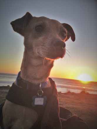 Gunther
