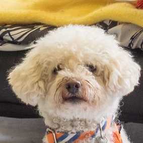 Coco