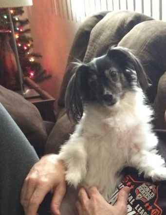 Millie
