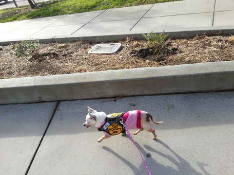 Lucy