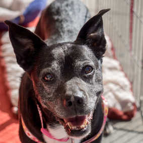 Winifred