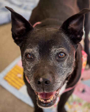 Winifred