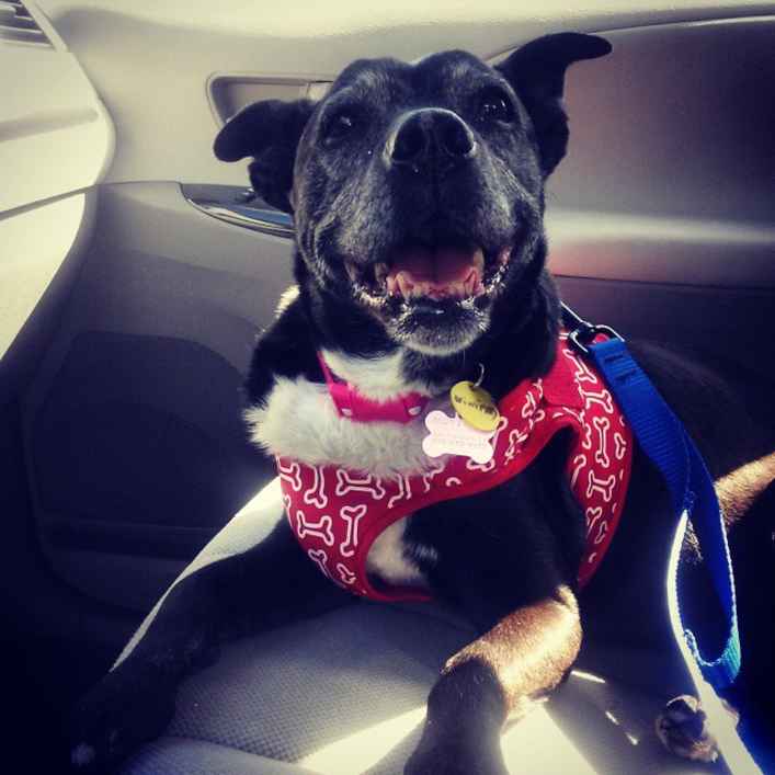 Winifred