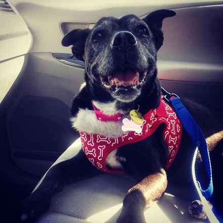 Winifred