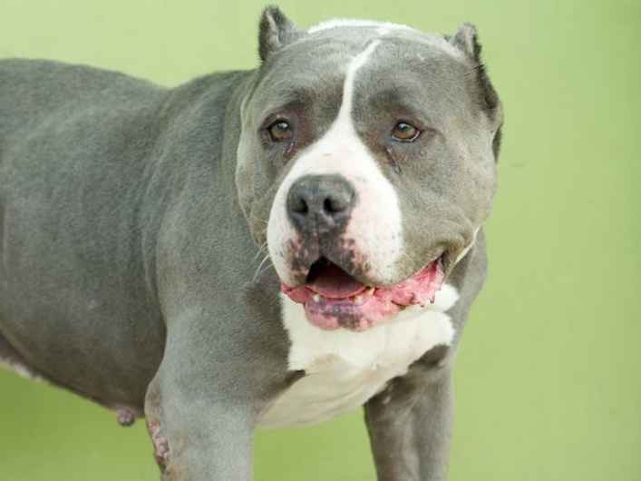 Franklin