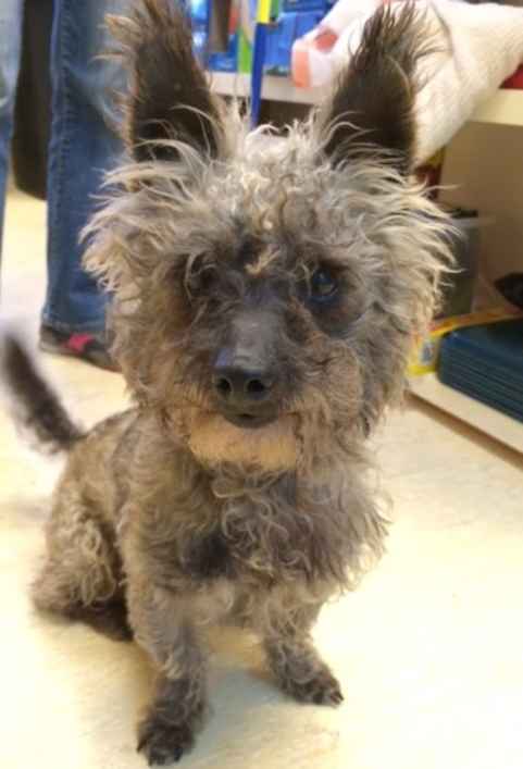 Dudley