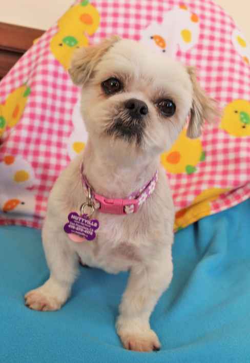 Daisy May