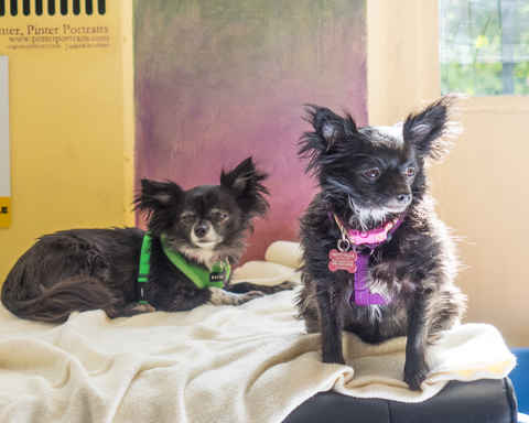 Tia and Tamara