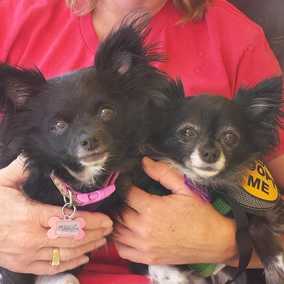 Tia and Tamara
