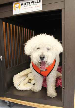 Henry