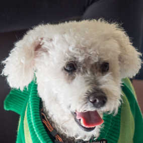 Henry