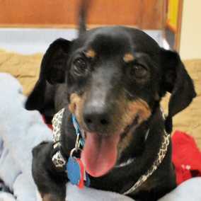 Hurley