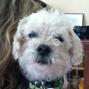 Jake