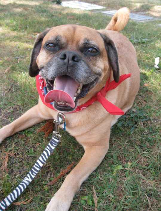 Tito