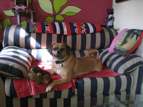 Tito
