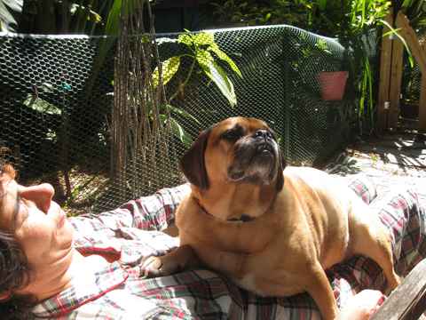 Tito