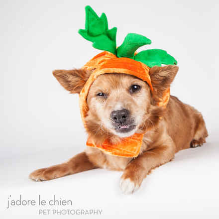 Pumpkin