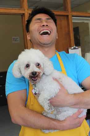 Houdini and Sugar