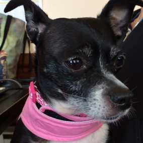 Princess Charlotte