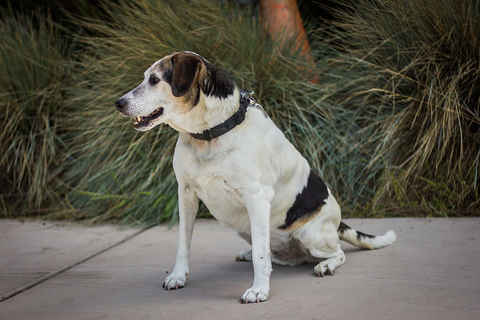 Max