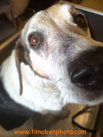 Max