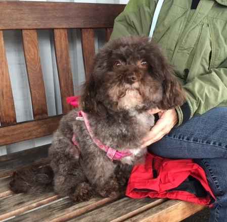 Lulu