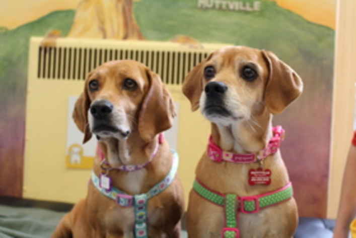 Ethel and Lucy
