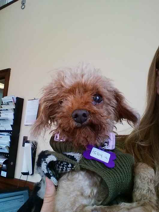 Tilly #