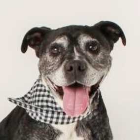 Jasper SPCA