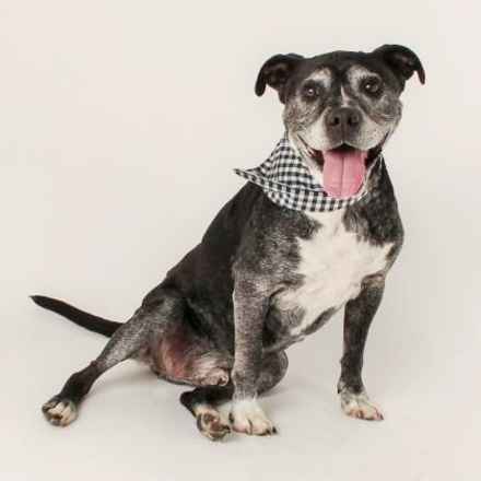 Jasper SPCA