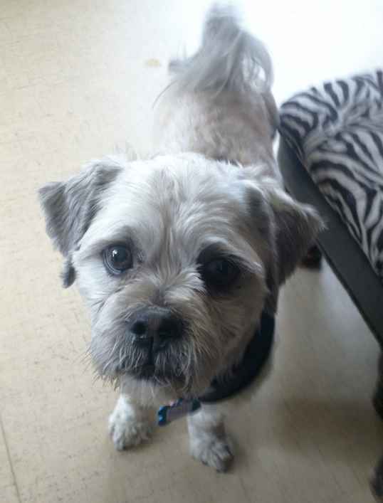 Monty