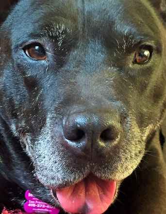 George