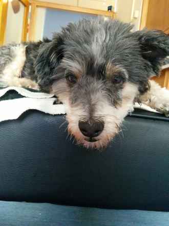 Humphrey
