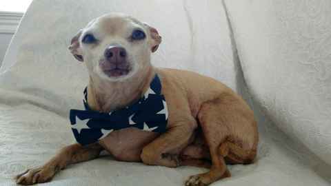 Newman