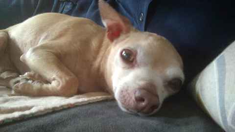 Newman