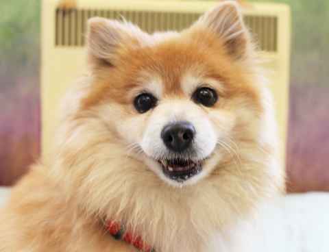 Charlie