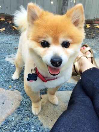 Charlie