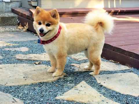 Charlie