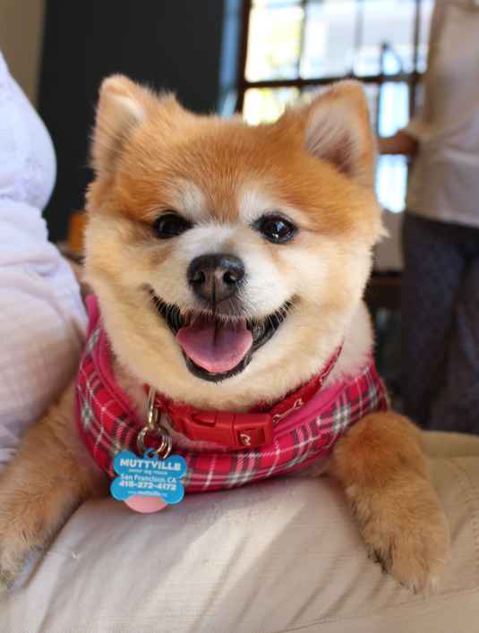 Charlie