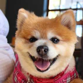 Charlie
