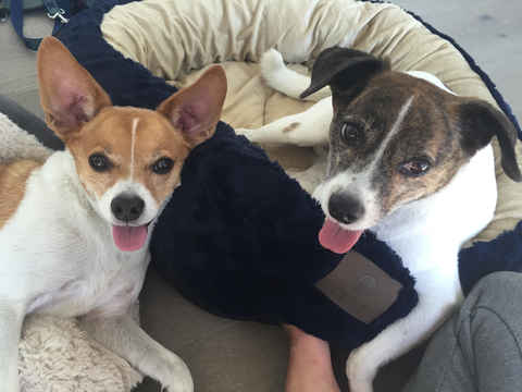 Cappuccino & Mozie
