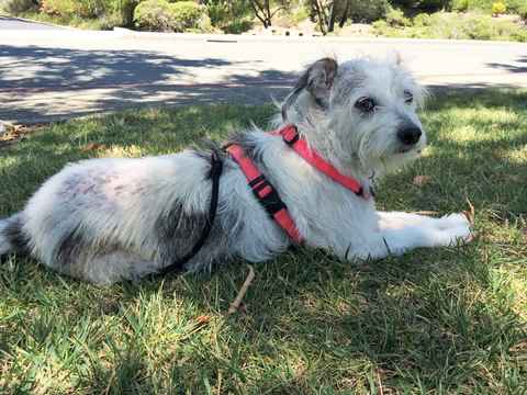 Fiona