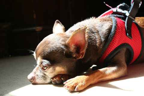 Billy